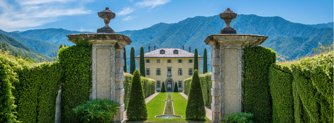 Spotlight on Wealth Trends