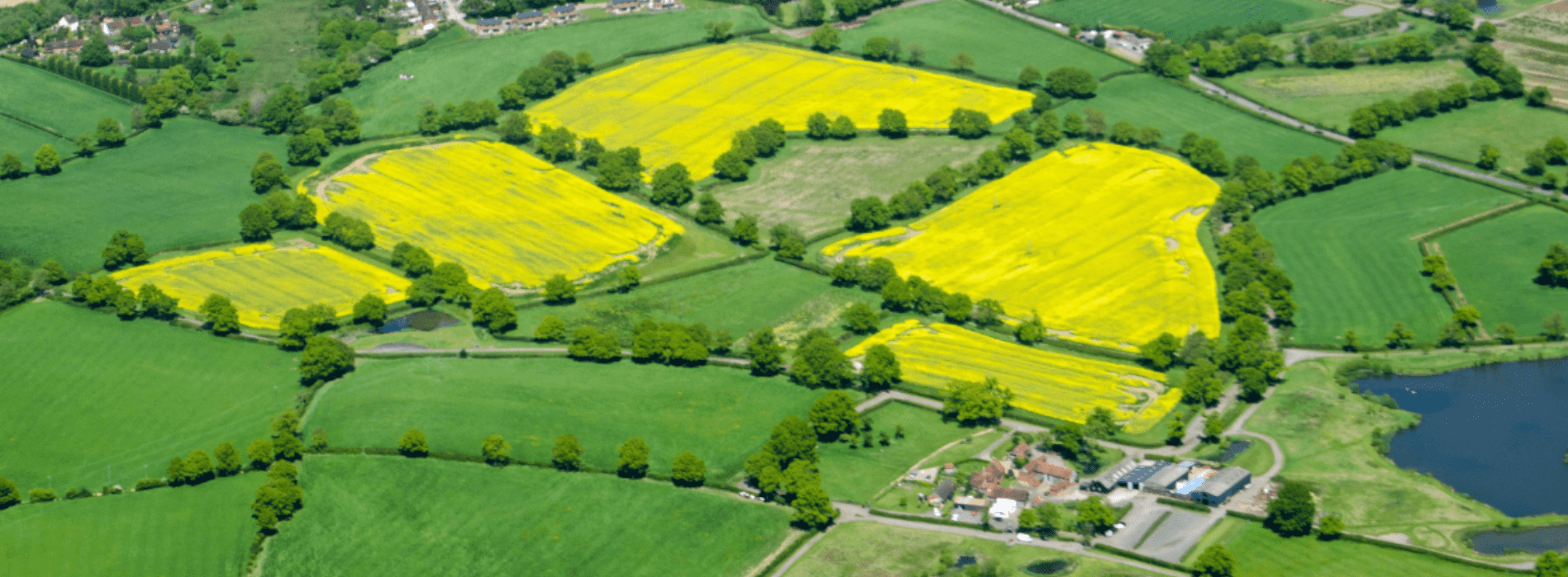 Savills Uk Market In Minutes Agricultural Rents - 