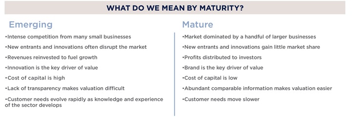 What do we mean by maturity?